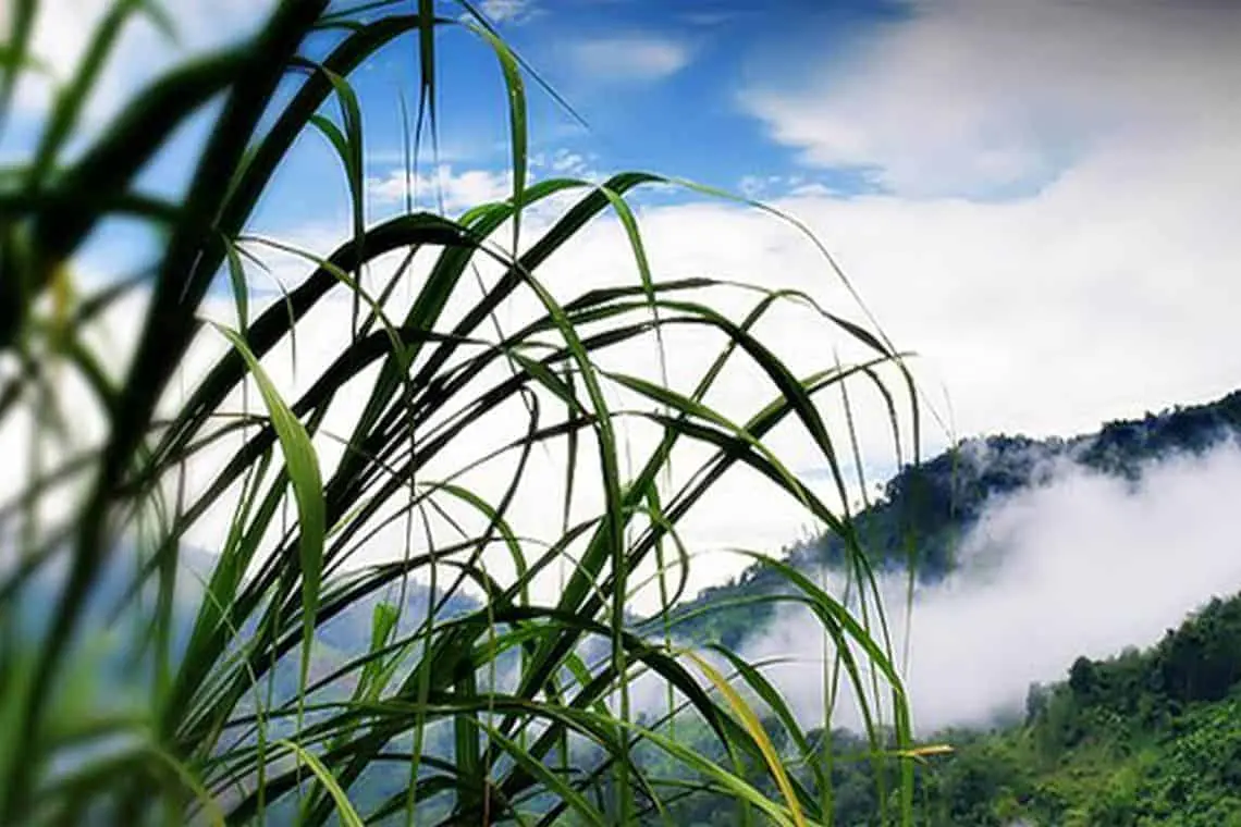 Explore Real Indochina By Bike 40 Days